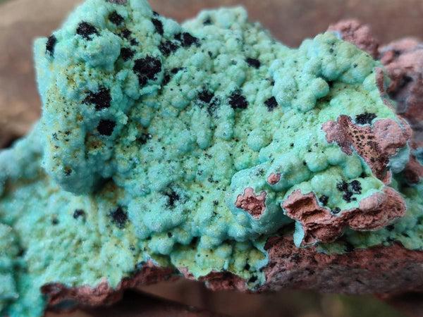 Natural Drusy Coated Chrysocolla With Various Inclusions x 3 From Lupoto Mine, Congo