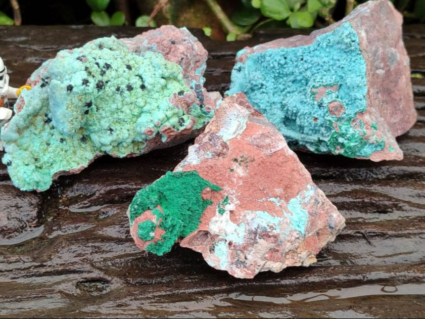 Natural Drusy Coated Chrysocolla With Various Inclusions x 3 From Lupoto Mine, Congo - Toprock Gemstones and Minerals 