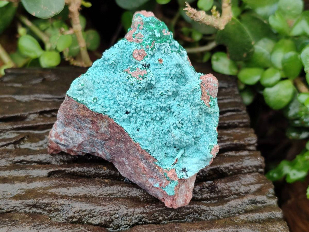 Natural Drusy Coated Chrysocolla With Various Inclusions x 3 From Lupoto Mine, Congo - Toprock Gemstones and Minerals 