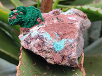 Natural Drusy Coated Chrysocolla With Various Inclusions x 3 From Lupoto Mine, Congo