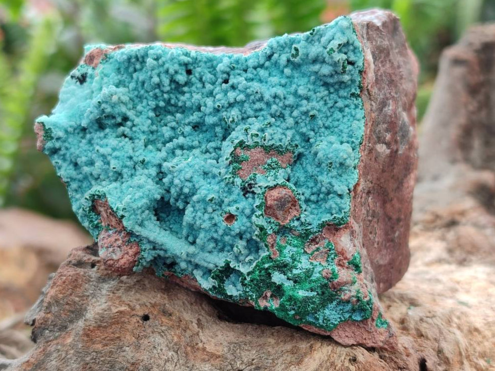 Natural Drusy Coated Chrysocolla With Various Inclusions x 3 From Lupoto Mine, Congo - Toprock Gemstones and Minerals 