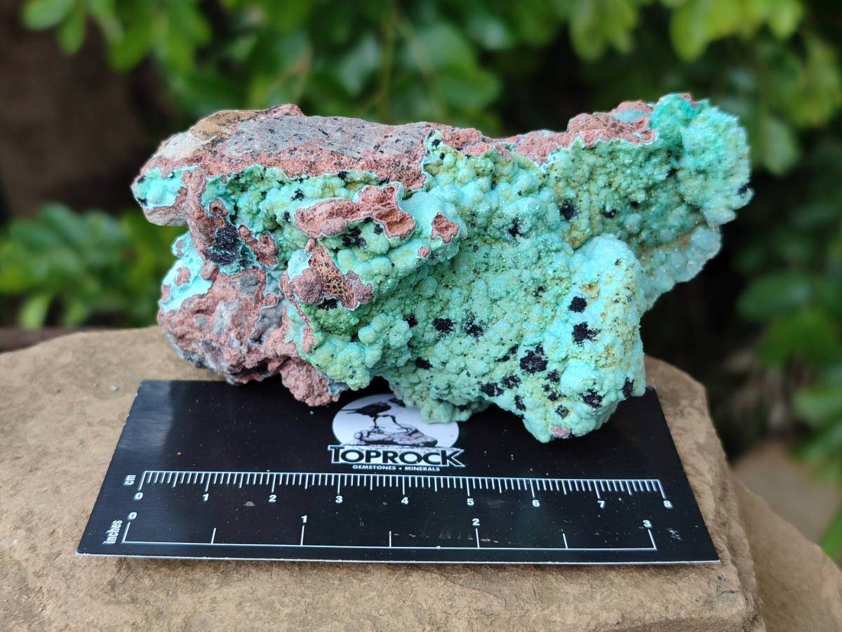 Natural Drusy Coated Chrysocolla With Various Inclusions x 3 From Lupoto Mine, Congo - Toprock Gemstones and Minerals 