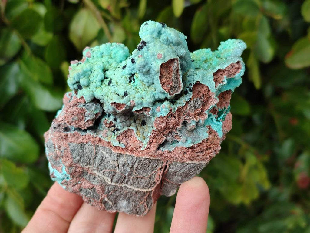 Natural Drusy Coated Chrysocolla With Various Inclusions x 3 From Lupoto Mine, Congo - Toprock Gemstones and Minerals 
