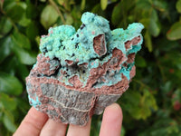 Natural Drusy Coated Chrysocolla With Various Inclusions x 3 From Lupoto Mine, Congo