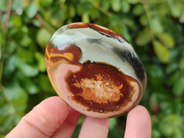 Polished Polychrome Jasper Galets x 12 From NW Coast, Madagascar