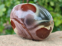 Polished Polychrome Jasper Galets x 12 From NW Coast, Madagascar