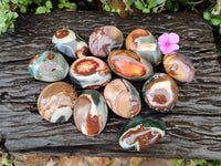 Polished Polychrome Jasper Galets x 12 From NW Coast, Madagascar