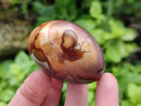 Polished Polychrome Jasper Galets x 12 From NW Coast, Madagascar