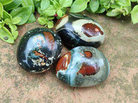 Polished Polychrome Jasper Galets x 12 From NW Coast, Madagascar