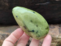 Polished Leopard Stone Free Forms x 6 From Zimbabwe