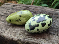 Polished Leopard Stone Free Forms x 6 From Zimbabwe