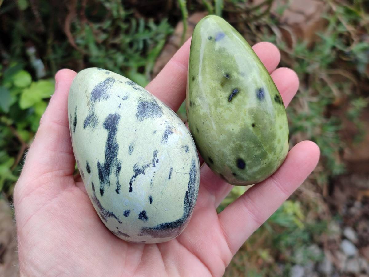 Polished Leopard Stone Free Forms x 6 From Zimbabwe - Toprock Gemstones and Minerals 
