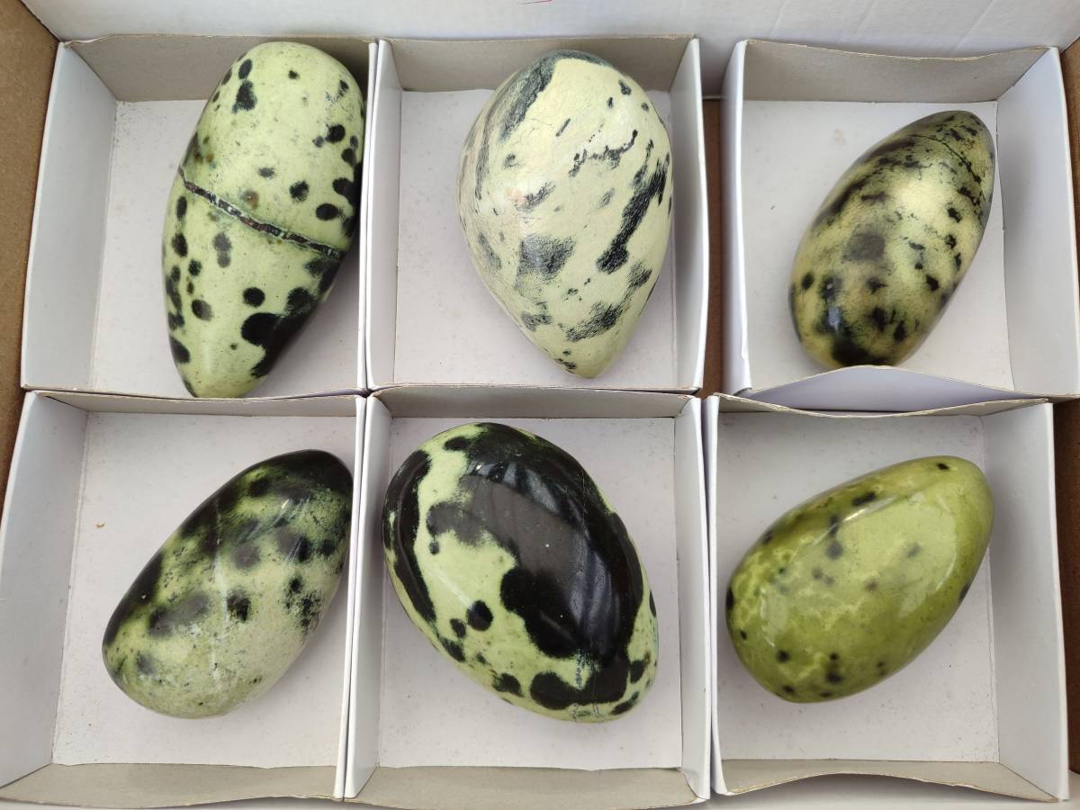 Polished Leopard Stone Free Forms x 6 From Zimbabwe - Toprock Gemstones and Minerals 