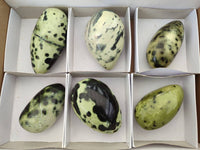 Polished Leopard Stone Free Forms x 6 From Zimbabwe