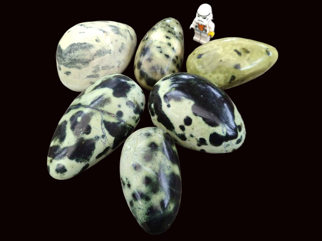 Polished Leopard Stone Free Forms x 6 From Zimbabwe - Toprock Gemstones and Minerals 
