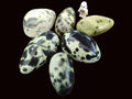 Polished Leopard Stone Free Forms x 6 From Zimbabwe - Toprock Gemstones and Minerals 
