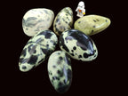 Polished Leopard Stone Free Forms x 6 From Zimbabwe - Toprock Gemstones and Minerals 