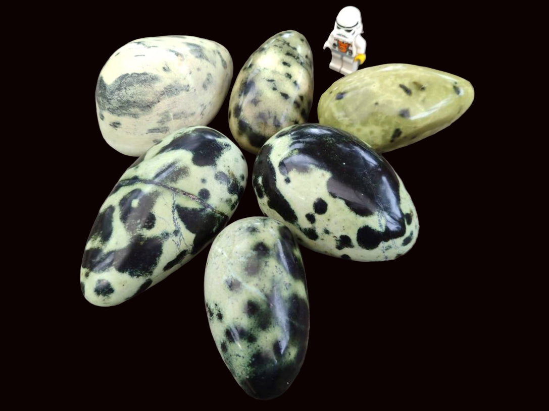 Polished Leopard Stone Free Forms x 6 From Zimbabwe - Toprock Gemstones and Minerals 
