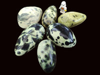 Polished Leopard Stone Free Forms x 6 From Zimbabwe