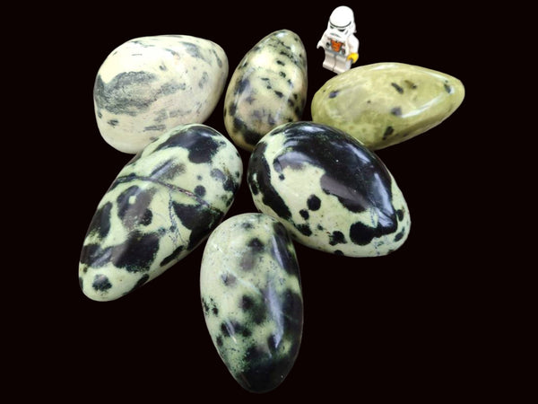 Polished Leopard Stone Free Forms x 6 From Zimbabwe