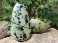 Polished Leopard Stone Free Forms x 6 From Zimbabwe