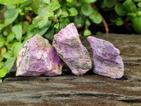 Natural Stichtite Cobbed Specimens x 70 From Barberton, South Africa