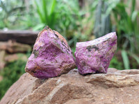 Natural Stichtite Cobbed Specimens x 70 From Barberton, South Africa