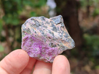 Natural Stichtite Cobbed Specimens x 70 From Barberton, South Africa