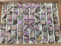 Natural Stichtite Cobbed Specimens x 70 From Barberton, South Africa