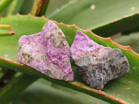 Natural Stichtite Cobbed Specimens x 70 From Barberton, South Africa