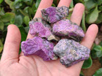 Natural Stichtite Cobbed Specimens x 70 From Barberton, South Africa