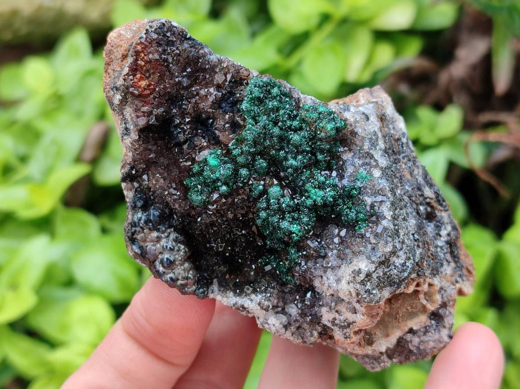 Natural Ball Malachite and Drusy Quartz On Dolomite Matrix Specimens x 2 From Mindingi Mine, Kambove, Congo - Toprock Gemstones and Minerals 
