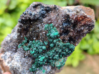 Natural Ball Malachite and Drusy Quartz On Dolomite Matrix Specimens x 2 From Mindingi Mine, Kambove, Congo