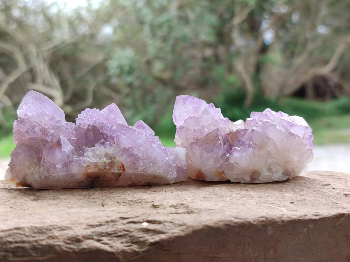 Natural Sunburst Amethyst Spirit Quartz Clusters x 12 From Boekenhouthoek, South Africa - Toprock Gemstones and Minerals 
