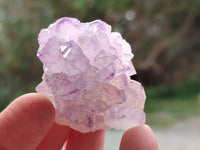 Natural Sunburst Amethyst Spirit Quartz Clusters x 12 From Boekenhouthoek, South Africa