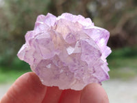 Natural Sunburst Amethyst Spirit Quartz Clusters x 12 From Boekenhouthoek, South Africa