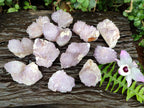 Natural Sunburst Amethyst Spirit Quartz Clusters x 12 From Boekenhouthoek, South Africa - Toprock Gemstones and Minerals 