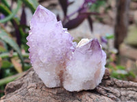 Natural Sunburst Amethyst Spirit Quartz Clusters x 12 From Boekenhouthoek, South Africa