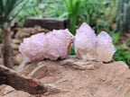Natural Sunburst Amethyst Spirit Quartz Clusters x 12 From Boekenhouthoek, South Africa - Toprock Gemstones and Minerals 