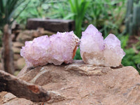 Natural Sunburst Amethyst Spirit Quartz Clusters x 12 From Boekenhouthoek, South Africa