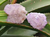 Natural Sunburst Amethyst Spirit Quartz Clusters x 12 From Boekenhouthoek, South Africa