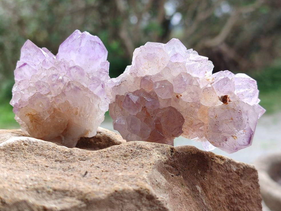 Natural Sunburst Amethyst Spirit Quartz Clusters x 12 From Boekenhouthoek, South Africa - Toprock Gemstones and Minerals 