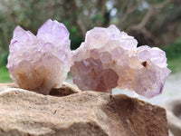 Natural Sunburst Amethyst Spirit Quartz Clusters x 12 From Boekenhouthoek, South Africa