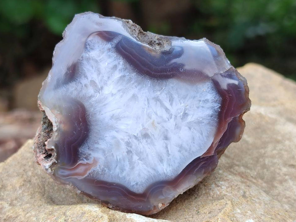 Polished Red Sashe River Agate Nodules x 6 From Sashe River, Zimbabwe - Toprock Gemstones and Minerals 