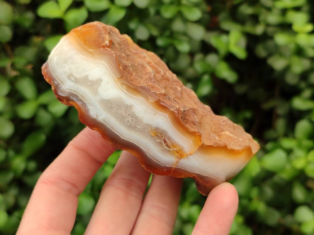 Polished Red Sashe River Agate Nodules x 6 From Sashe River, Zimbabwe - Toprock Gemstones and Minerals 