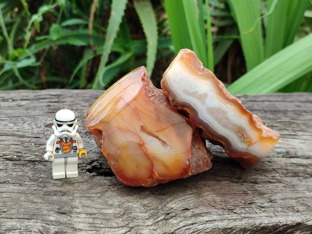 Polished Red Sashe River Agate Nodules x 6 From Sashe River, Zimbabwe - Toprock Gemstones and Minerals 