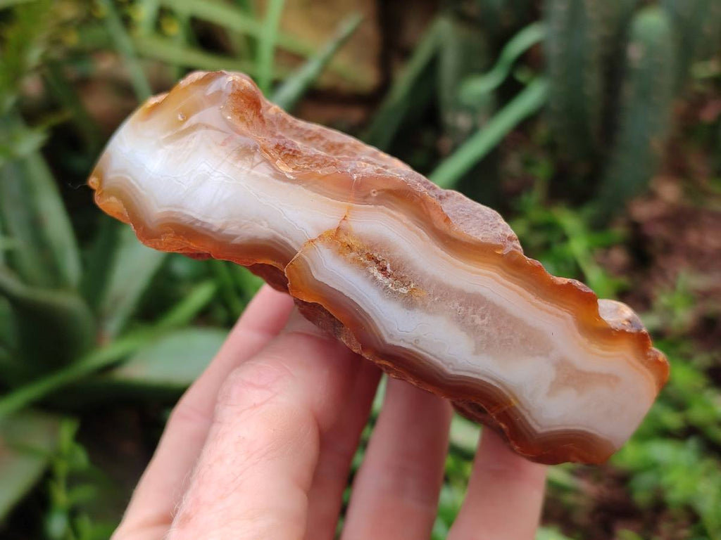 Polished Red Sashe River Agate Nodules x 6 From Sashe River, Zimbabwe - Toprock Gemstones and Minerals 