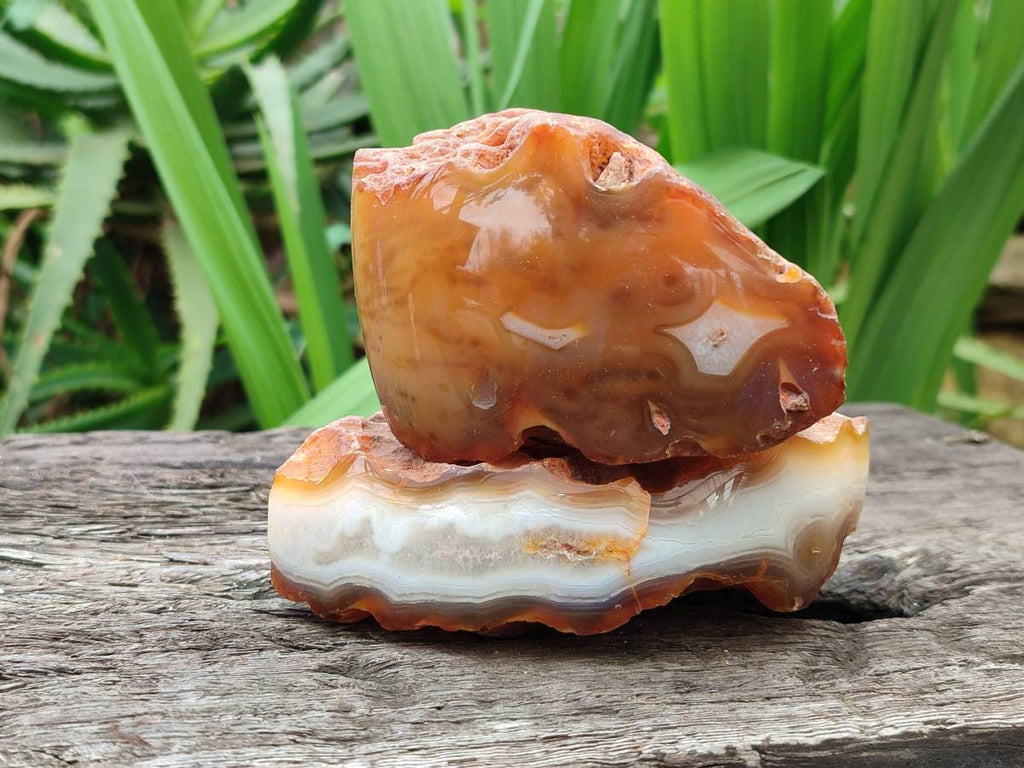 Polished Red Sashe River Agate Nodules x 6 From Sashe River, Zimbabwe - Toprock Gemstones and Minerals 
