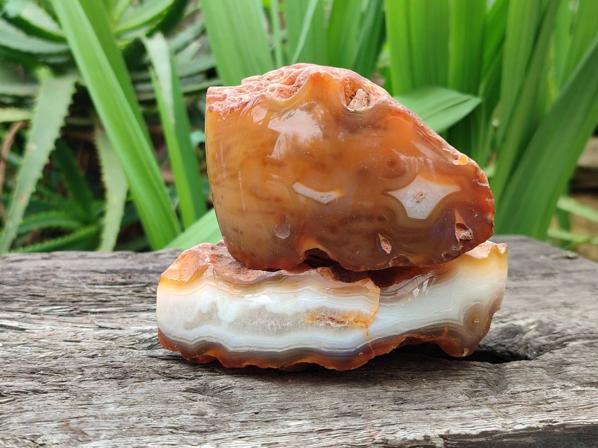 Polished Red Sashe River Agate Nodules x 6 From Sashe River, Zimbabwe - Toprock Gemstones and Minerals 