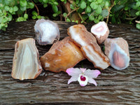 Polished Red Sashe River Agate Nodules x 6 From Sashe River, Zimbabwe